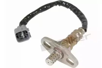 walkerproducts-25024157