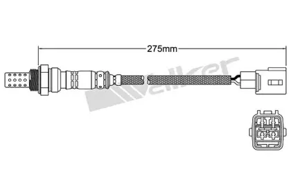 walkerproducts-25024169