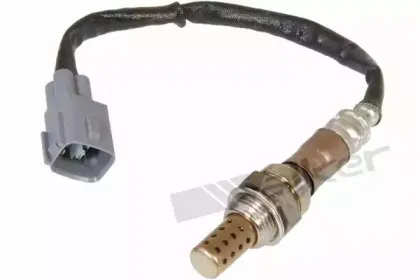 walkerproducts-25024169