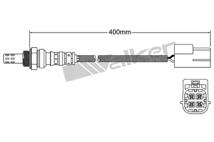 walkerproducts-25024181
