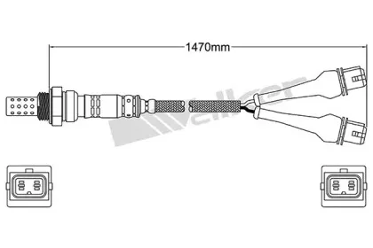 walkerproducts-25024184