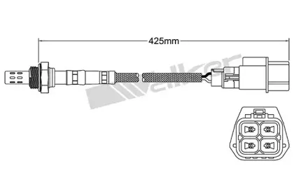 walkerproducts-25024186