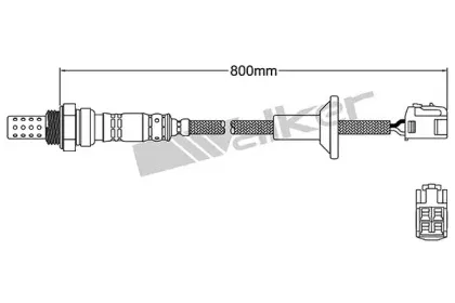 walkerproducts-25024188
