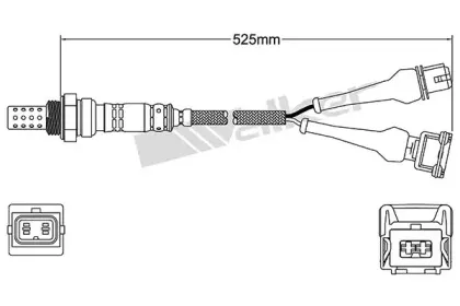 walkerproducts-25024192
