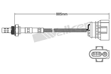 walkerproducts-25024194