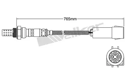 walkerproducts-25024197