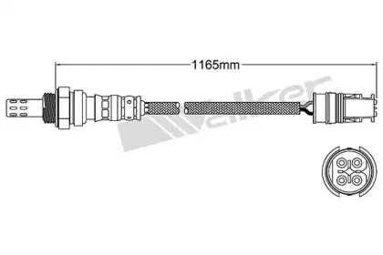 walkerproducts-25024198