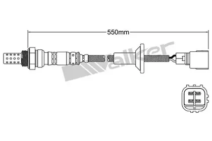 walkerproducts-25024213