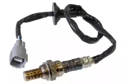walkerproducts-25024213