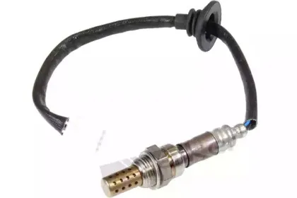 walkerproducts-25024231