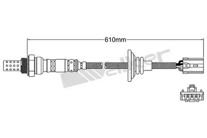 walkerproducts-25024232