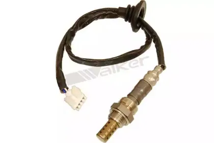 walkerproducts-25024232