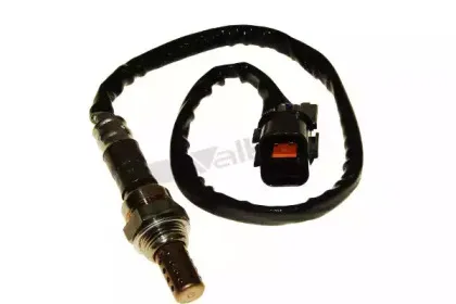 walkerproducts-25024233