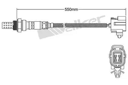 walkerproducts-25024245