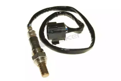 walkerproducts-25024245