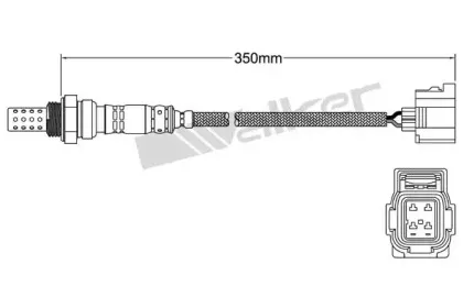 walkerproducts-25024249