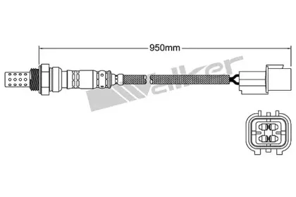 walkerproducts-25024262