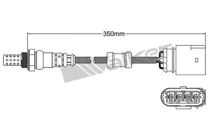 walkerproducts-25024263