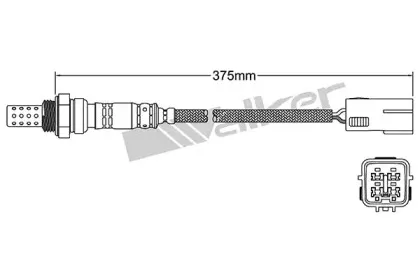 walkerproducts-25024271