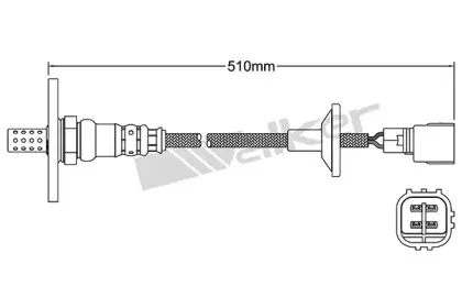 walkerproducts-25024277