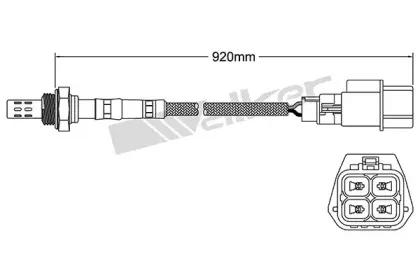 walkerproducts-25024284