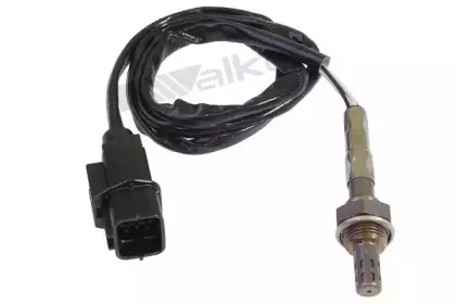 walkerproducts-25024286