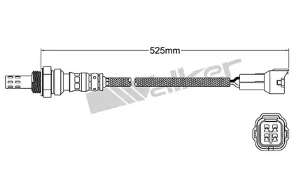 walkerproducts-25024291