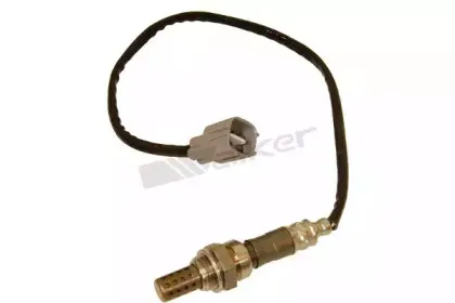 walkerproducts-25024305