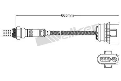 walkerproducts-25024307