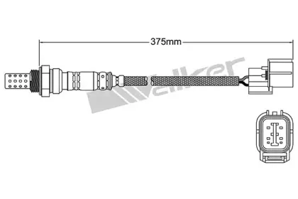 walkerproducts-25024308