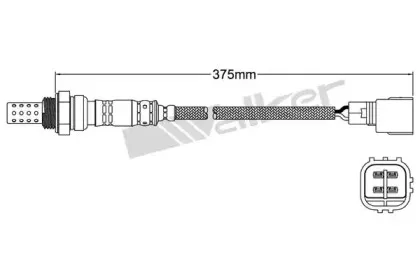 walkerproducts-25024322