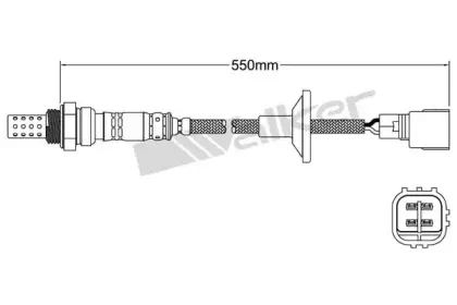 walkerproducts-25024327