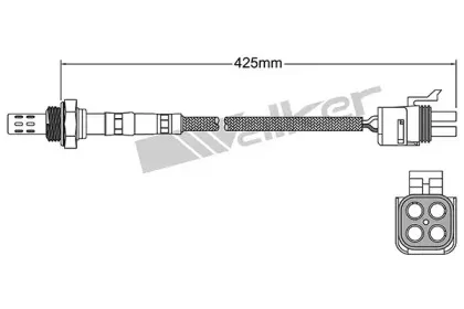 walkerproducts-25024330