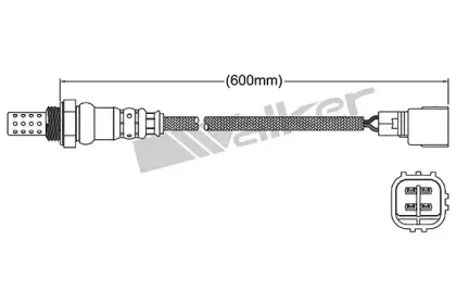 walkerproducts-25024331