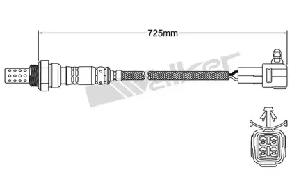 walkerproducts-25024336