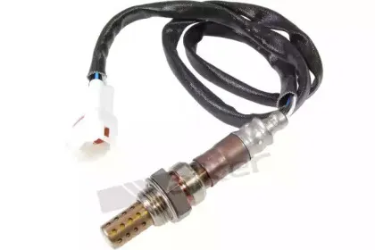 walkerproducts-25024336