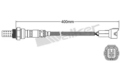walkerproducts-25024338