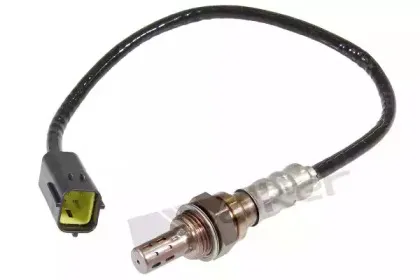walkerproducts-25024341