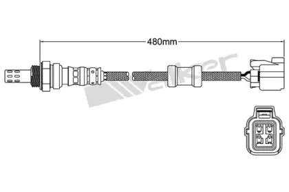 walkerproducts-25024343