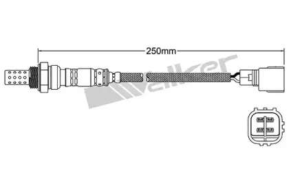 walkerproducts-25024344