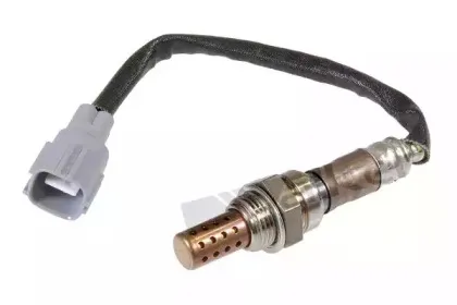 walkerproducts-25024344