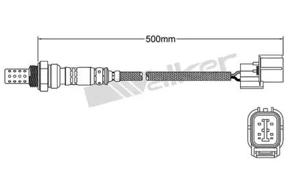 walkerproducts-25024346