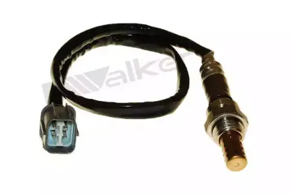 walkerproducts-25024346