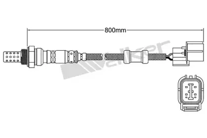 walkerproducts-25024347