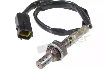 walkerproducts-25024356