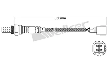 walkerproducts-25024360