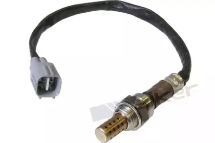 walkerproducts-25024360