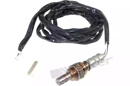 walkerproducts-25024385