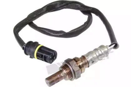 walkerproducts-25024387
