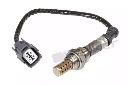 walkerproducts-25024398